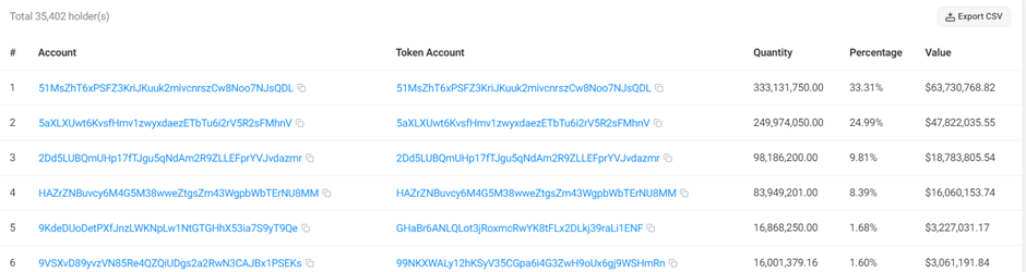 Top holders - bron: solscan