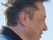 Elon Musk, archiefbeeld uit 2025