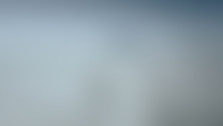 Salesforce Tower in San Francisco in de mist